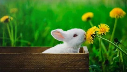 开云体育网页版入口-浙BA城市争霸赛，嘉兴队83-76苍南队，终结苍南连胜